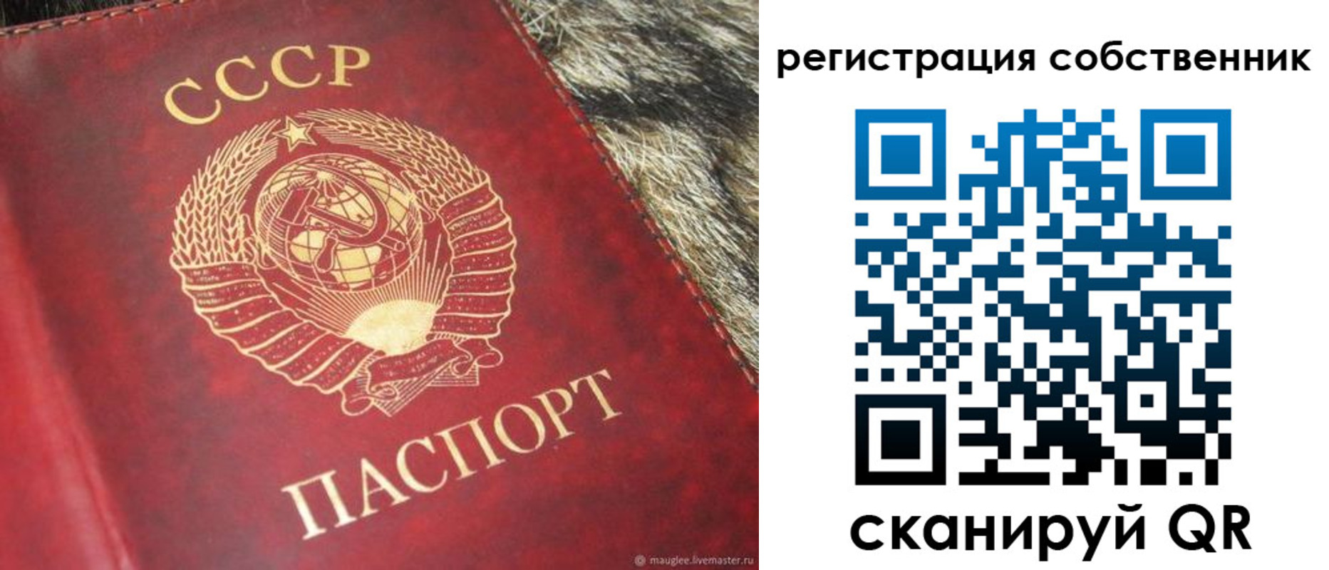 временная регистрация надежно в Яхроме